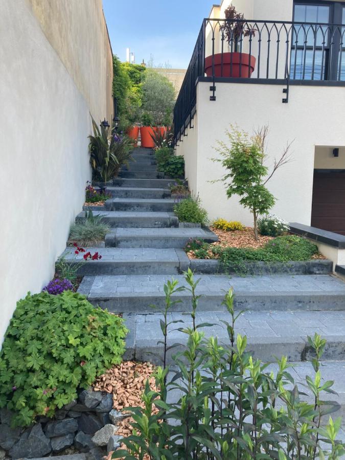 Villa Du Jardin Des Plantes 56 Rue Premartine 르망 외부 사진